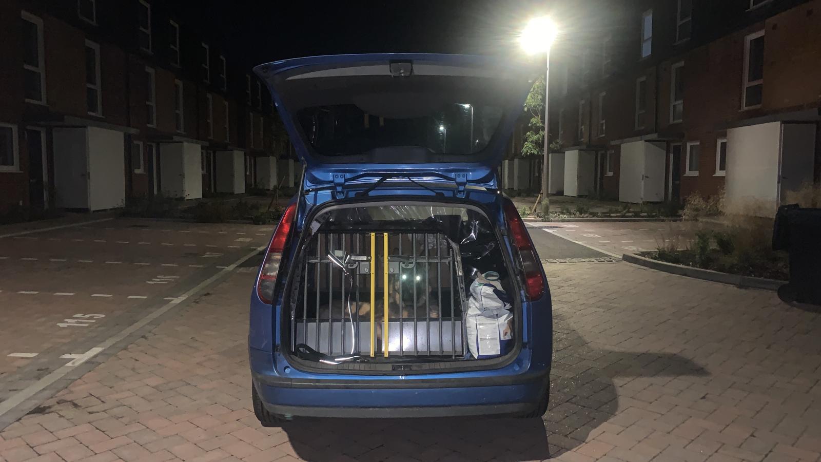 Security dog handlers