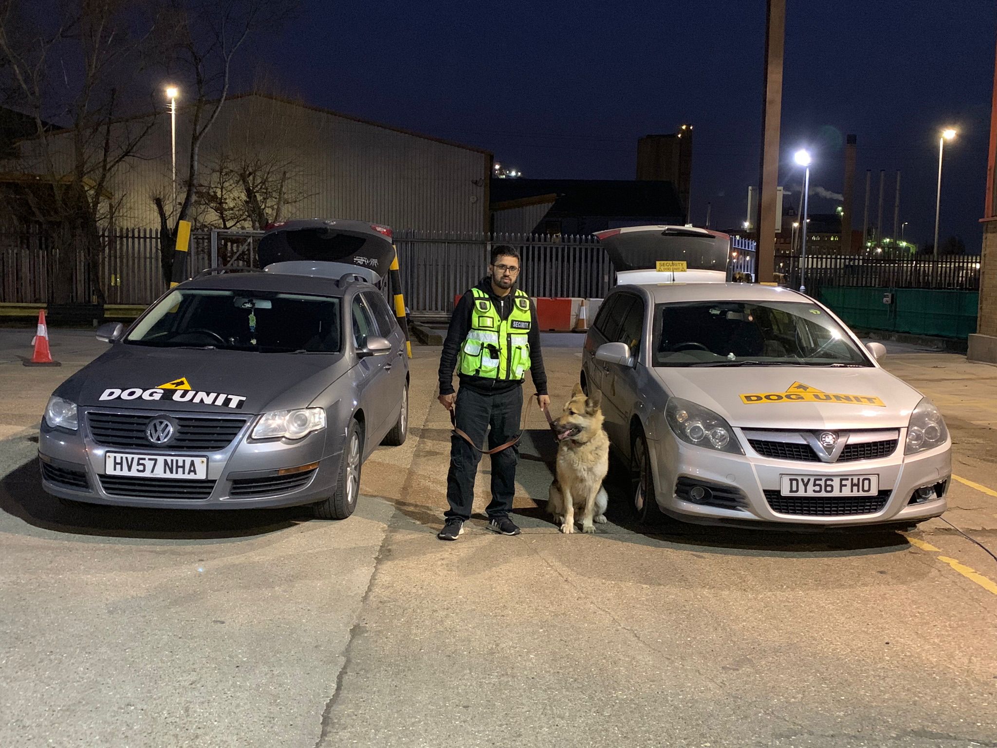 Eviction security dog