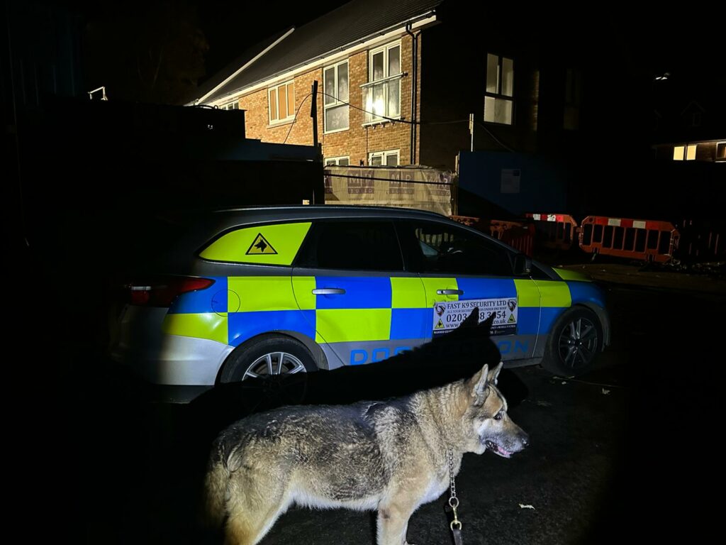 Professional dog security