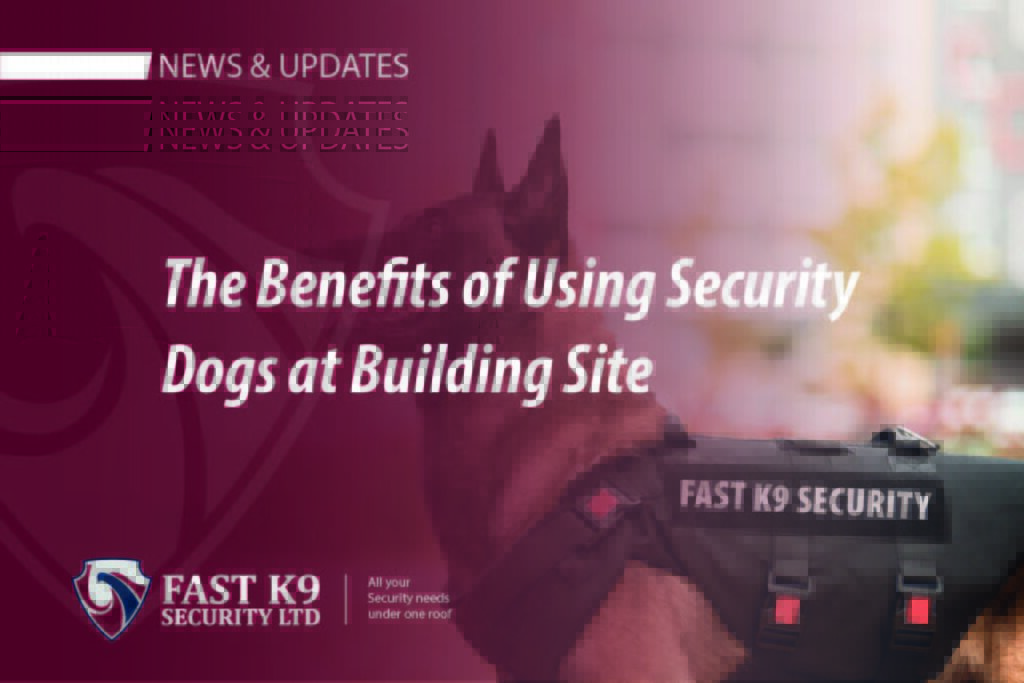The Benefits of Using Security Dogs at Building Site